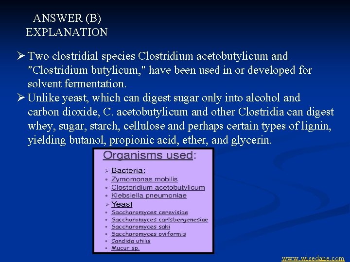 ANSWER (B) EXPLANATION Ø Two clostridial species Clostridium acetobutylicum and "Clostridium butylicum, " have