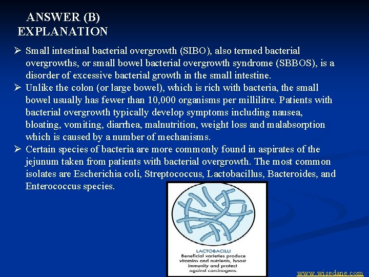 ANSWER (B) EXPLANATION Ø Small intestinal bacterial overgrowth (SIBO), also termed bacterial overgrowths, or