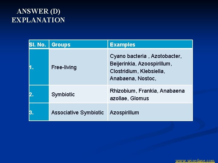 ANSWER (D) EXPLANATION Sl. No. Groups Examples 1. Free-living Cyano bacteria , Azotobacter, Beijerinkia,