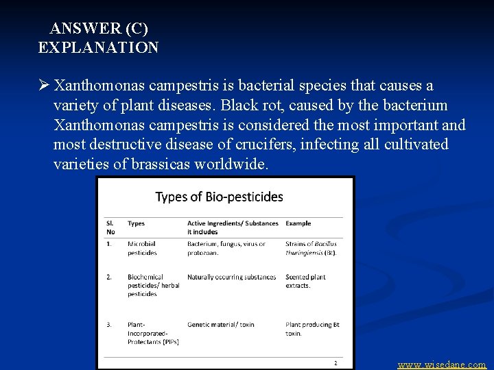 ANSWER (C) EXPLANATION Ø Xanthomonas campestris is bacterial species that causes a variety of