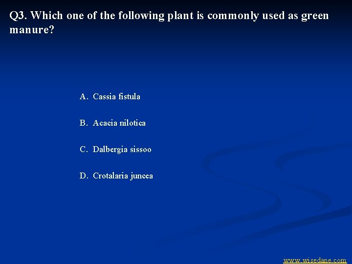 Q 3. Which one of the following plant is commonly used as green manure?