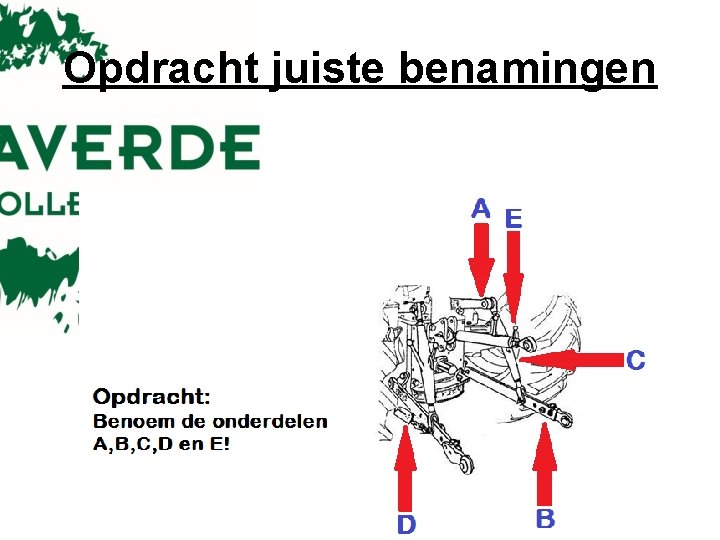 Opdracht juiste benamingen 