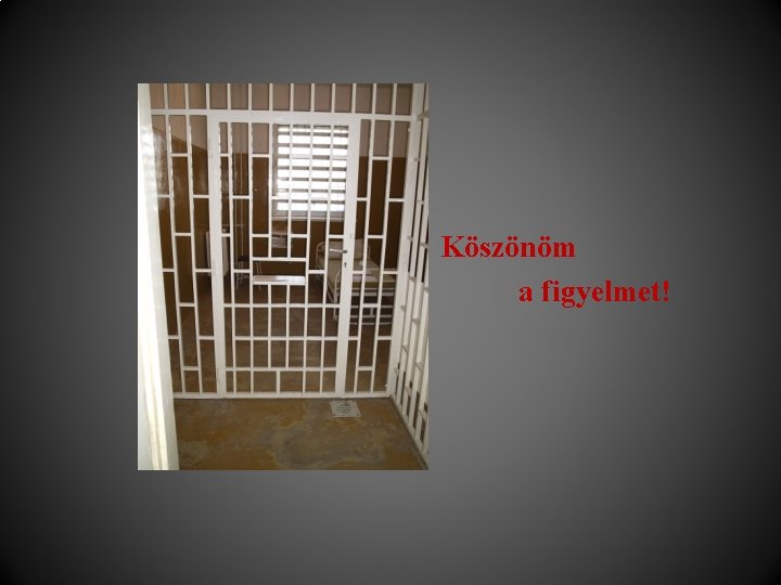 Köszönöm a figyelmet! 