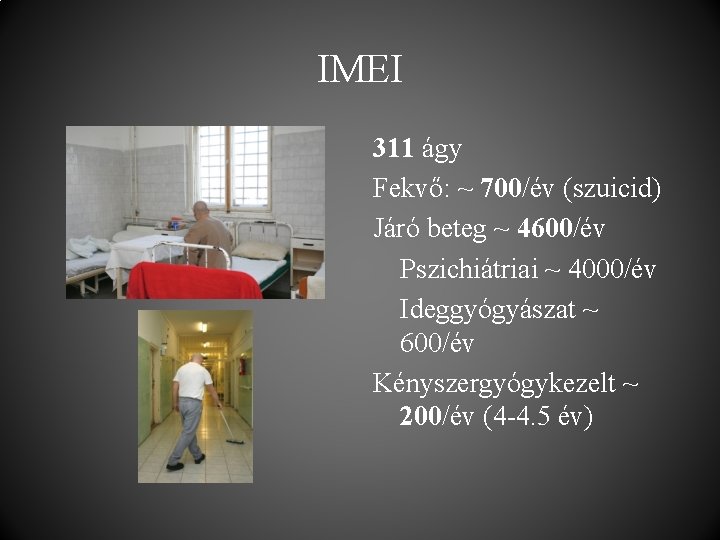 IMEI 311 ágy Fekvő: ~ 700/év (szuicid) Járó beteg ~ 4600/év Pszichiátriai ~ 4000/év