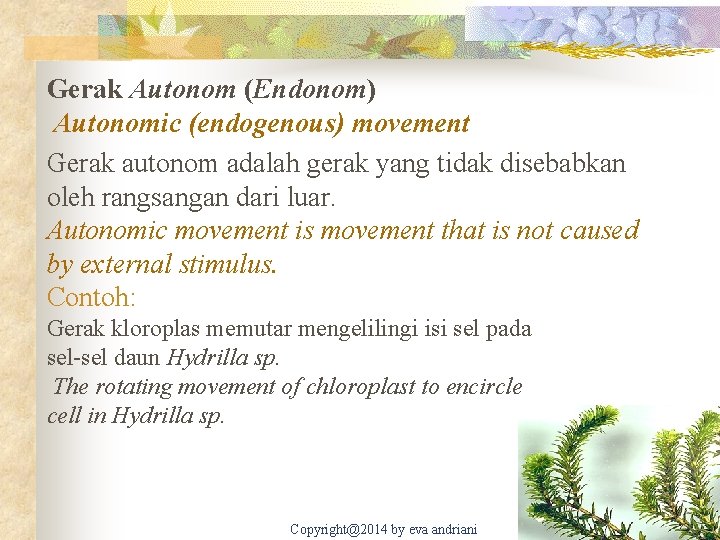 Gerak Autonom (Endonom) Autonomic (endogenous) movement Gerak autonom adalah gerak yang tidak disebabkan oleh