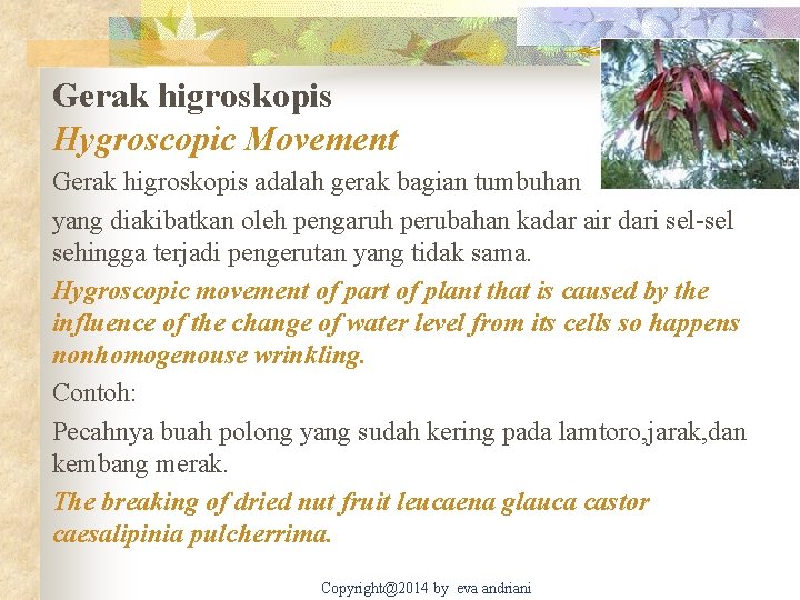 Gerak higroskopis Hygroscopic Movement Gerak higroskopis adalah gerak bagian tumbuhan yang diakibatkan oleh pengaruh