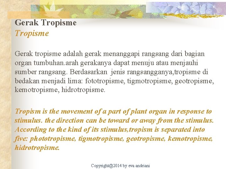 Gerak Tropisme Gerak tropisme adalah gerak menanggapi rangsang dari bagian organ tumbuhan. arah gerakanya