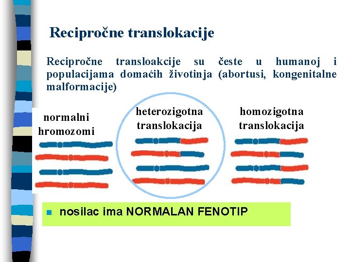 Recipročne translokacije Recipročne transloakcije su česte u humanoj i populacijama domaćih životinja (abortusi, kongenitalne