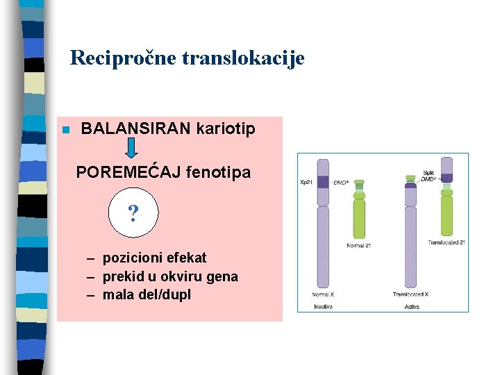 Recipročne translokacije n BALANSIRAN kariotip POREMEĆAJ fenotipa ? – pozicioni efekat – prekid u