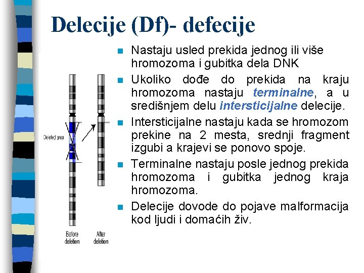 Delecije (Df)- defecije n n n Nastaju usled prekida jednog ili više hromozoma i