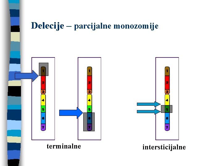 Delecije – parcijalne monozomije terminalne intersticijalne 