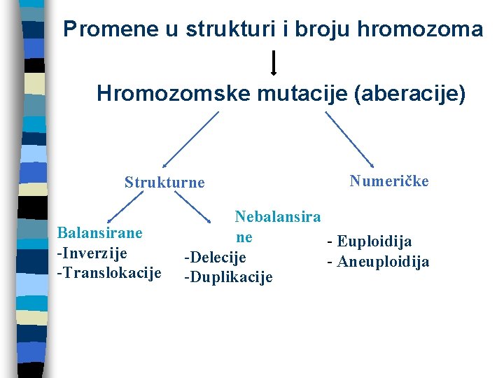 Promene u strukturi i broju hromozoma Hromozomske mutacije (aberacije) Strukturne Balansirane -Inverzije -Translokacije Numeričke