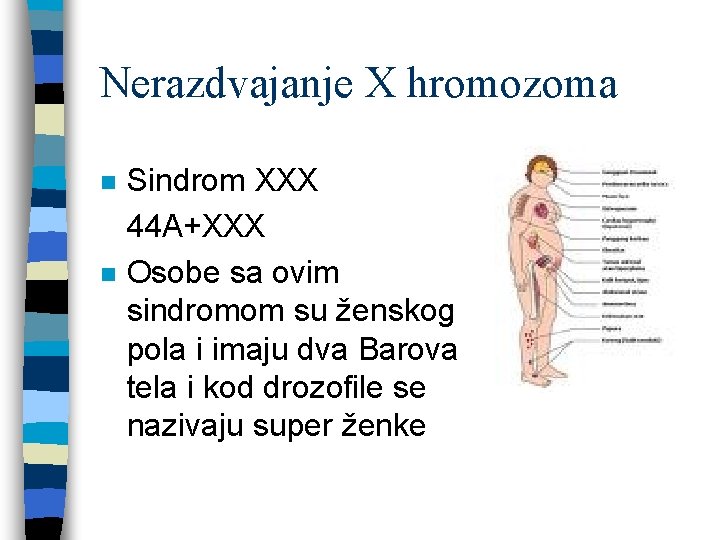 Nerazdvajanje X hromozoma Sindrom XXX 44 A+XXX n Osobe sa ovim sindromom su ženskog