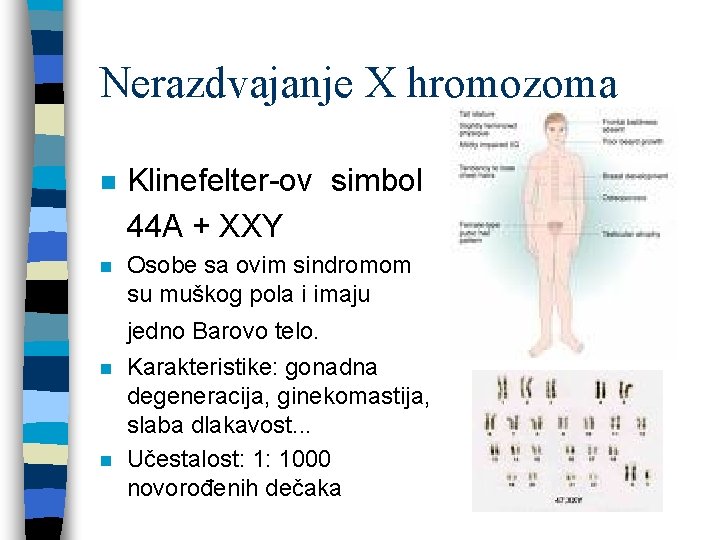 Nerazdvajanje X hromozoma n Klinefelter-ov simbol 44 A + XXY n Osobe sa ovim
