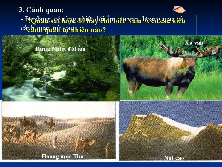 3. Cảnh quan: - Đa dạng: sát có lược rừng đồ nhiệt ẩm, xa