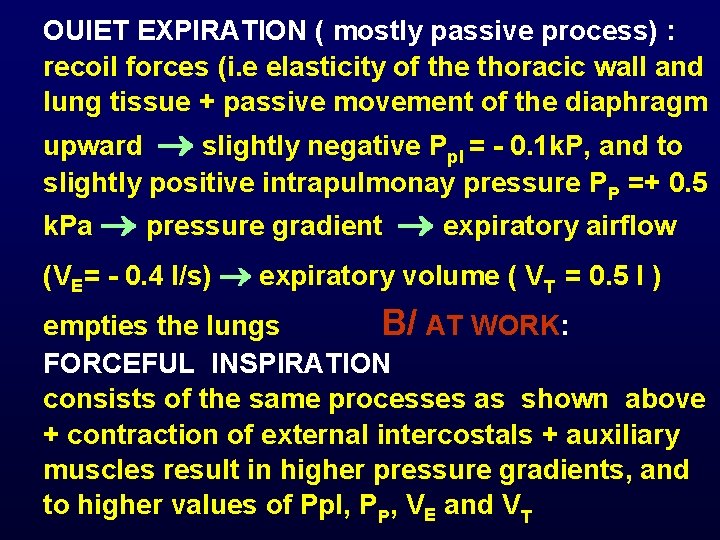 OUIET EXPIRATION ( mostly passive process) : recoil forces (i. e elasticity of the