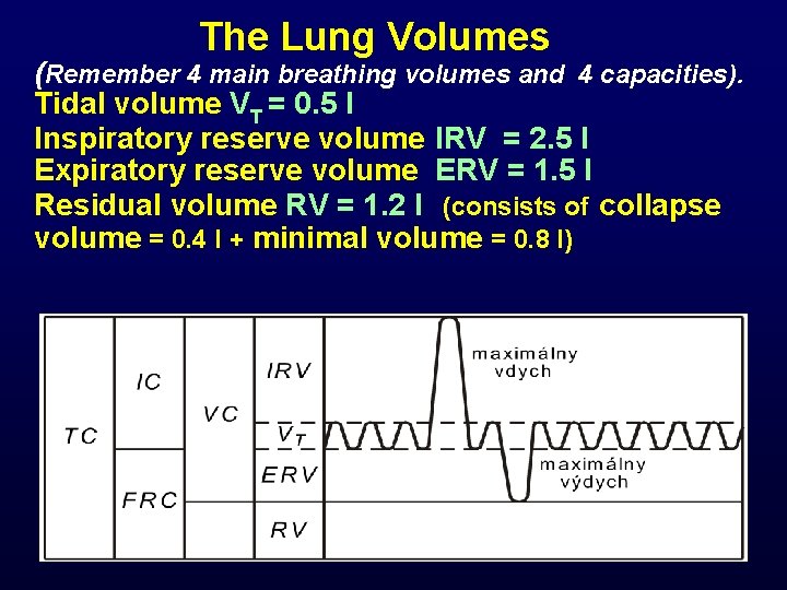  The Lung Volumes (Remember 4 main breathing volumes and 4 capacities). Tidal volume