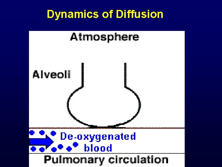  Dynamics of Diffusion 