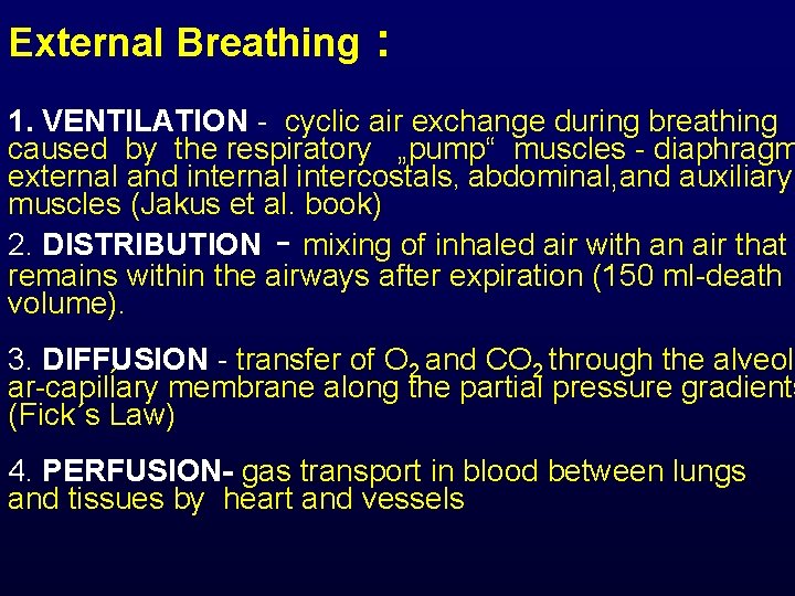 External Breathing : 1. VENTILATION - cyclic air exchange during breathing caused by the