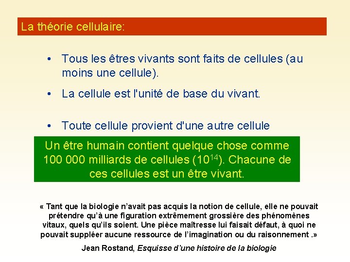 La théorie cellulaire: • Tous les êtres vivants sont faits de cellules (au moins