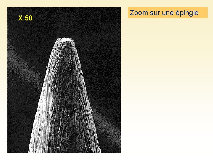X 50 Zoom sur une épingle 