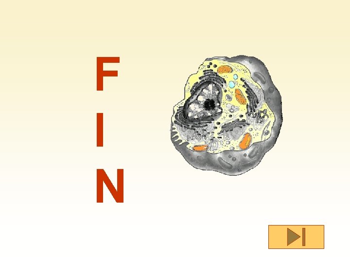 F I N 