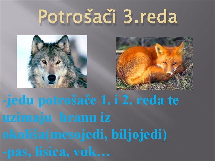 Potrošači 3. reda -jedu potrošače 1. i 2. reda te uzimaju hranu iz okoliša(mesojedi,