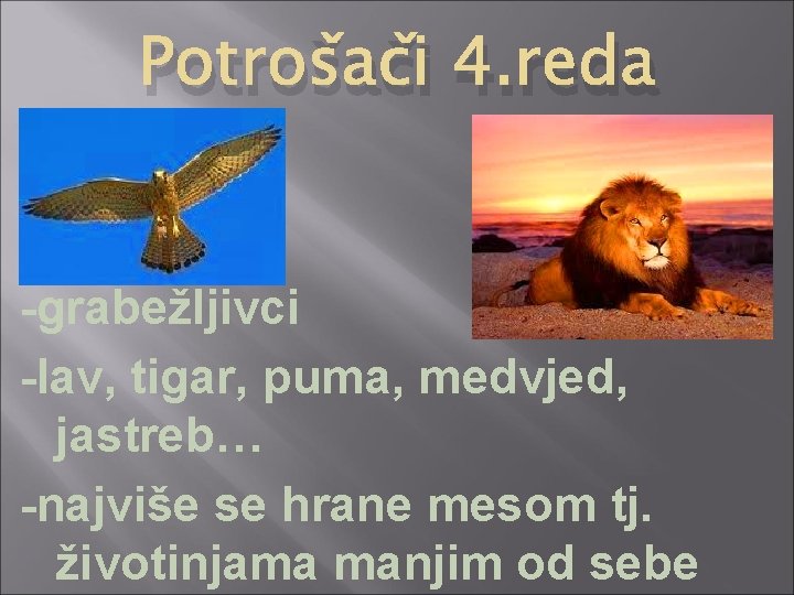 Potrošači 4. reda -grabežljivci -lav, tigar, puma, medvjed, jastreb… -najviše se hrane mesom tj.