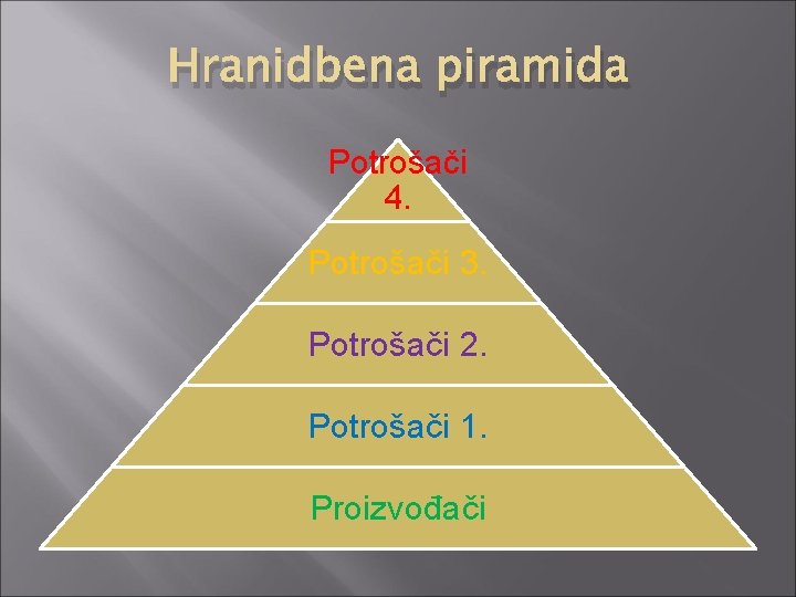 Hranidbena piramida Potrošači 4. Potrošači 3. Potrošači 2. Potrošači 1. Proizvođači 