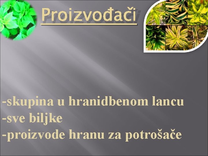 Proizvođači -skupina u hranidbenom lancu -sve biljke -proizvode hranu za potrošače 