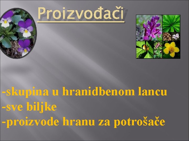 Proizvođači -skupina u hranidbenom lancu -sve biljke -proizvode hranu za potrošače 