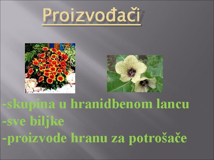 Proizvođači -skupina u hranidbenom lancu -sve biljke -proizvode hranu za potrošače 