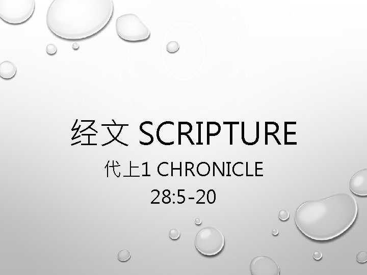 经文 SCRIPTURE 代上1 CHRONICLE 28: 5 -20 