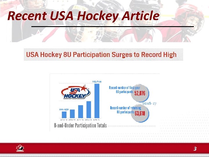 Recent USA Hockey Article 3 
