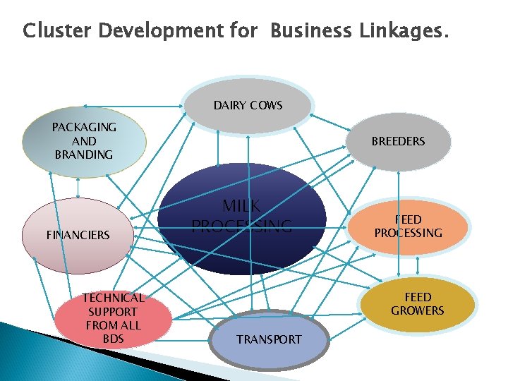 Cluster Development for Business Linkages. DAIRY COWS PACKAGING AND BRANDING FINANCIERS TECHNICAL SUPPORT FROM