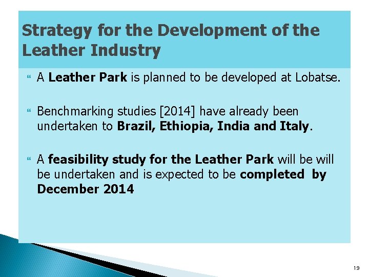 Strategy for the Development of the Leather Industry A Leather Park is planned to
