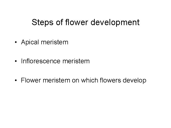 Steps of flower development • Apical meristem • Inflorescence meristem • Flower meristem on