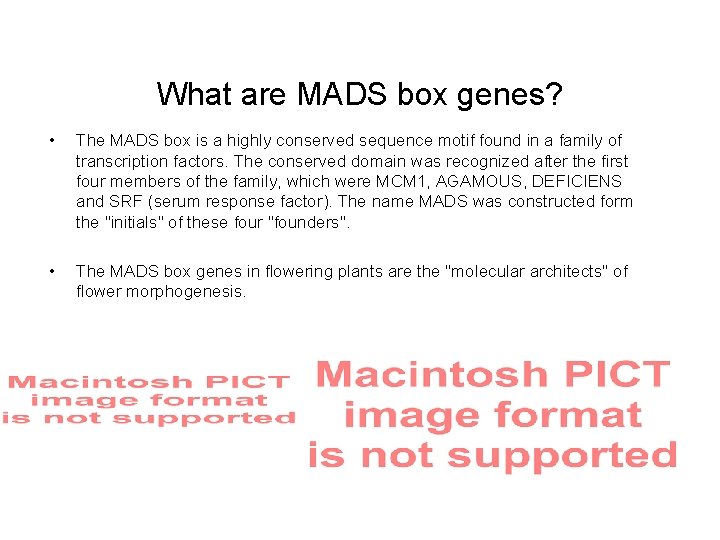 What are MADS box genes? • The MADS box is a highly conserved sequence