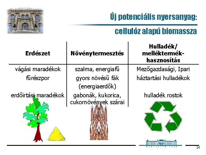 Új potenciális nyersanyag: cellulóz alapú biomassza Erdészet Növénytermesztés Hulladék/ melléktermékhasznosítás vágási maradékok szalma, energiafű