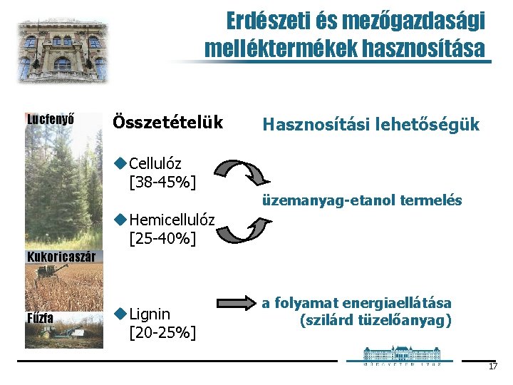 Erdészeti és mezőgazdasági melléktermékek hasznosítása Lucfenyő Összetételük Hasznosítási lehetőségük u Cellulóz [38 45%] üzemanyag-etanol