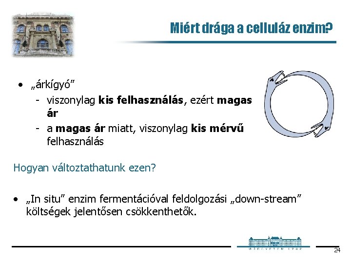 Miért drága a celluláz enzim? • „árkígyó” viszonylag kis felhasználás, ezért magas ár a