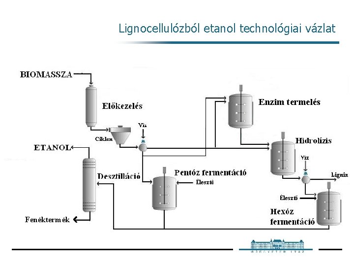 Lignocellulózból etanol technológiai vázlat Enzim termelés Fenéktermék 