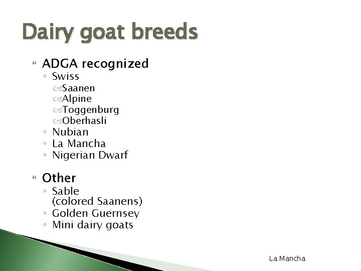 Dairy goat breeds ADGA recognized ◦ Swiss Saanen Alpine Toggenburg Oberhasli Alpine ◦ Nubian