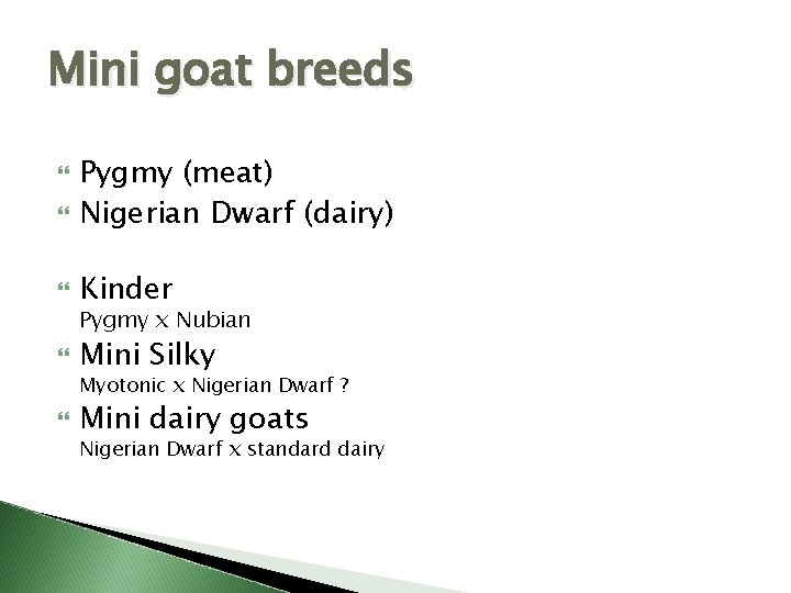 Mini goat breeds Pygmy (meat) Nigerian Dwarf (dairy) Kinder Pygmy x Nubian Mini Silky