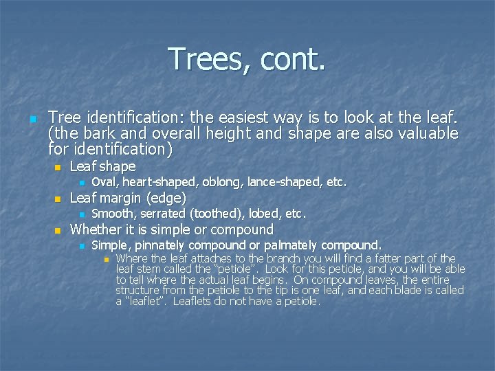 Trees, cont. n Tree identification: the easiest way is to look at the leaf.