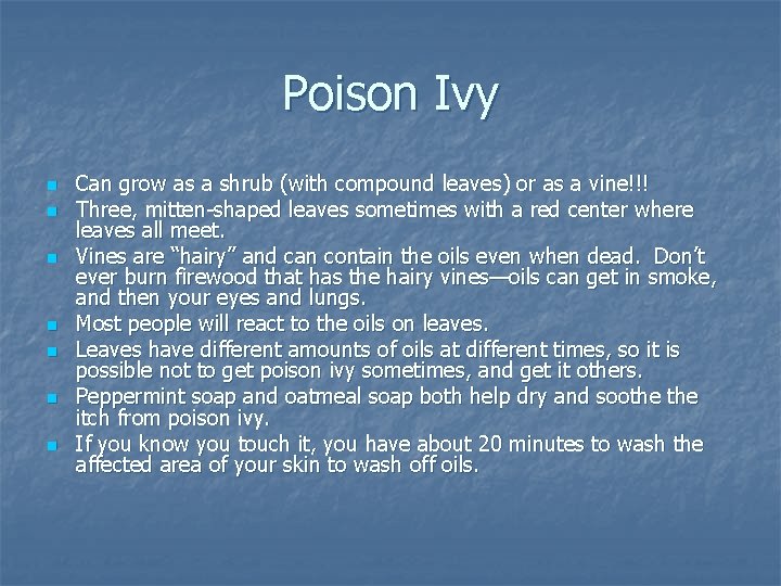 Poison Ivy n n n n Can grow as a shrub (with compound leaves)