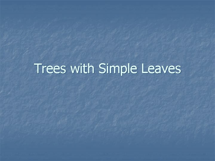 Trees with Simple Leaves 