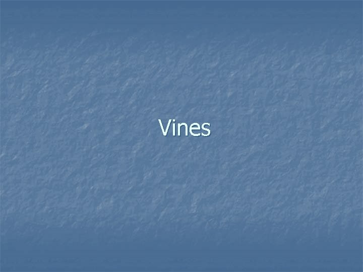 Vines 