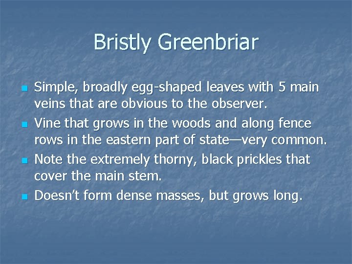 Bristly Greenbriar n n Simple, broadly egg-shaped leaves with 5 main veins that are