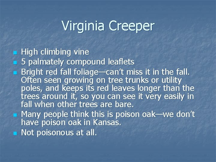 Virginia Creeper n n n High climbing vine 5 palmately compound leaflets Bright red